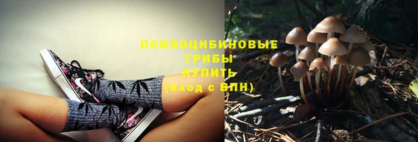 мдпв Волосово
