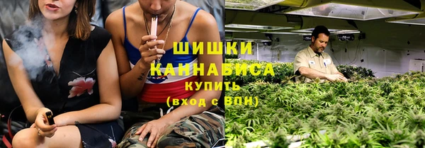 мдпв Волосово