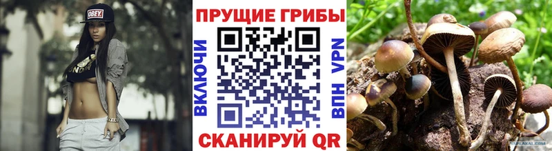 сайты даркнета Telegram  Оренбург  Псилоцибиновые грибы Cubensis  kraken зеркало 
